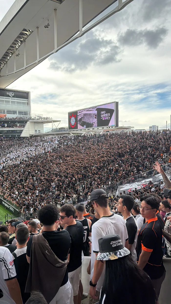 Corinthians supporters at Neo Quimica Arena